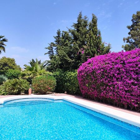 Villa With Private Pool, Bbq, Fitness Center & Sauna 圣维森特德尔拉斯佩奇 外观 照片