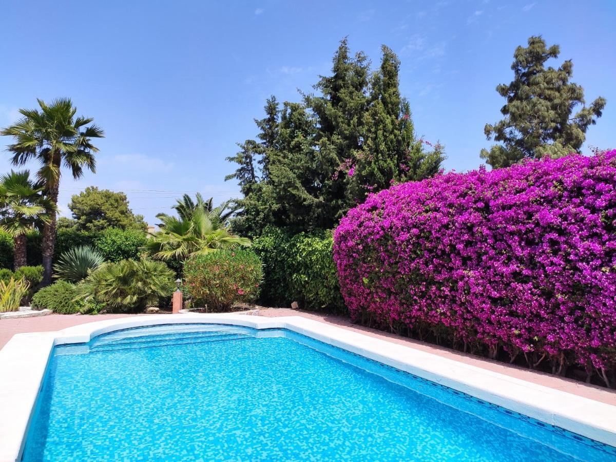 Villa With Private Pool, Bbq, Fitness Center & Sauna 圣维森特德尔拉斯佩奇 外观 照片