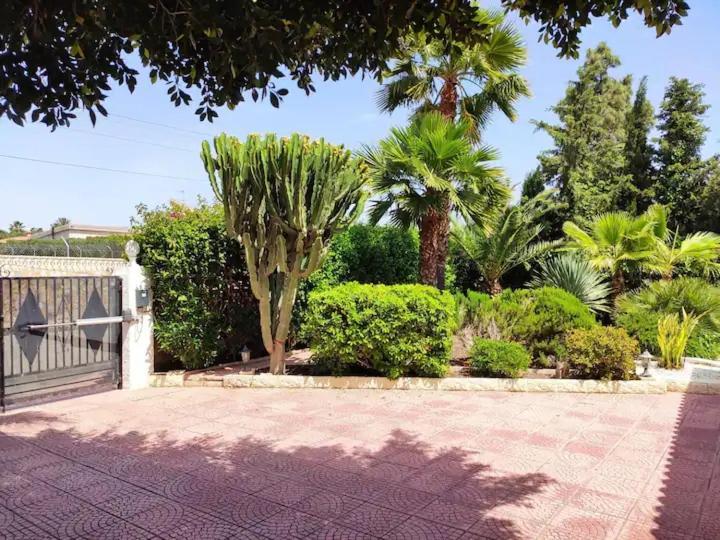 Villa With Private Pool, Bbq, Fitness Center & Sauna 圣维森特德尔拉斯佩奇 外观 照片